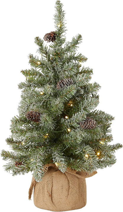 🎄 Pre-Lit Tabletop Christmas Tree ✨